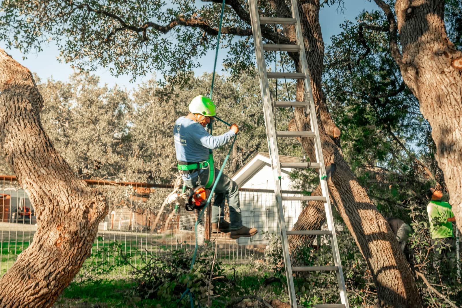 Land clearing and site prep
